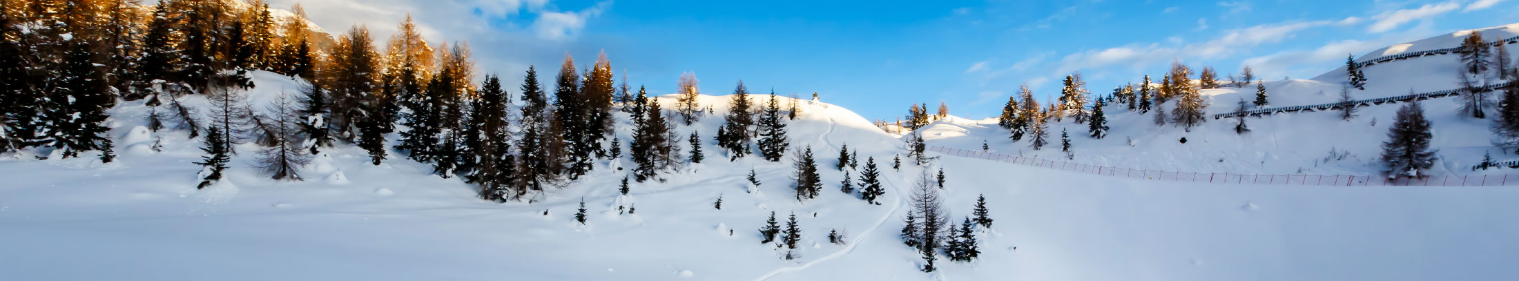 Associazione Sportabili Predazzo, Val di Fiemme (Trento) Attività inverno